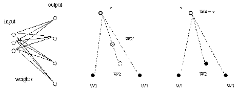 SOM Clustering